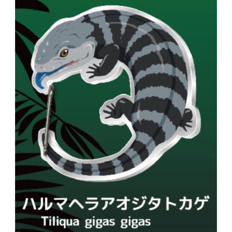 Gecko Lover Carabiner Gashapon - Capsule Toy Gashapon recensie en prijs